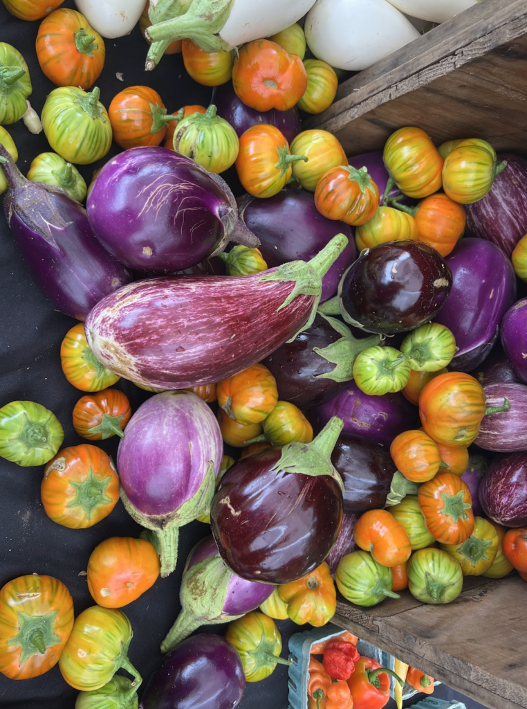 fresh vegetables from the farmers market to show how earth heals via plants