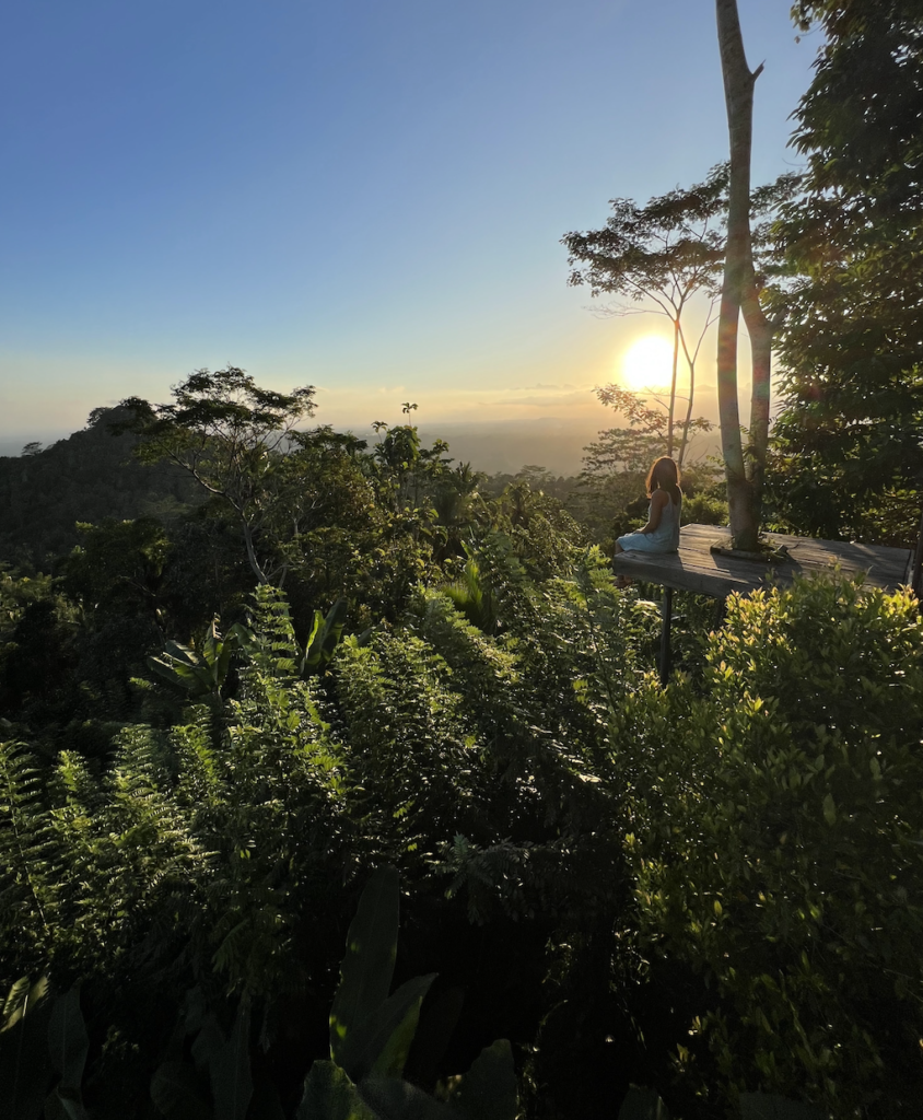 forest bathing in a tree house