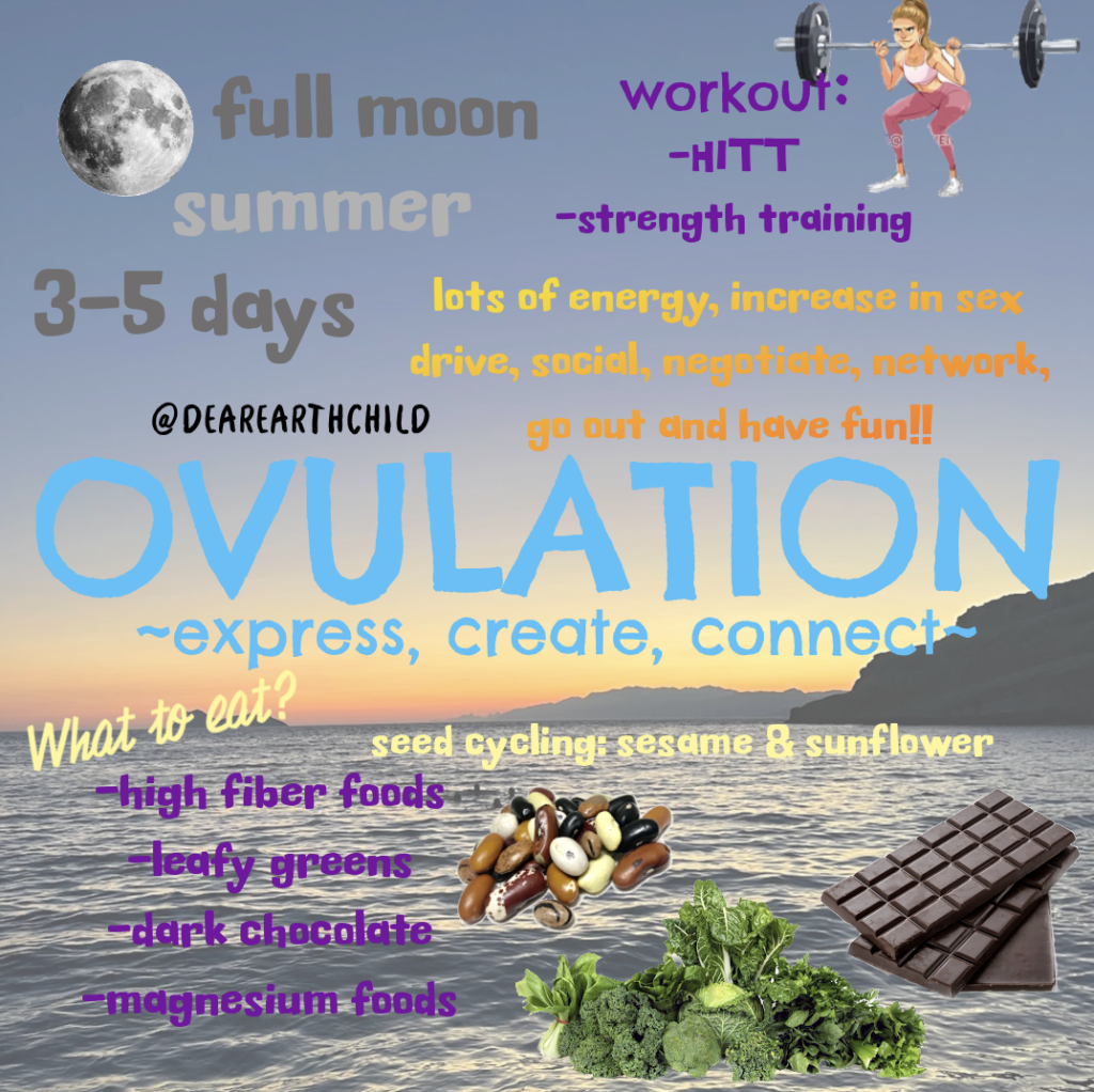 ovulation phase