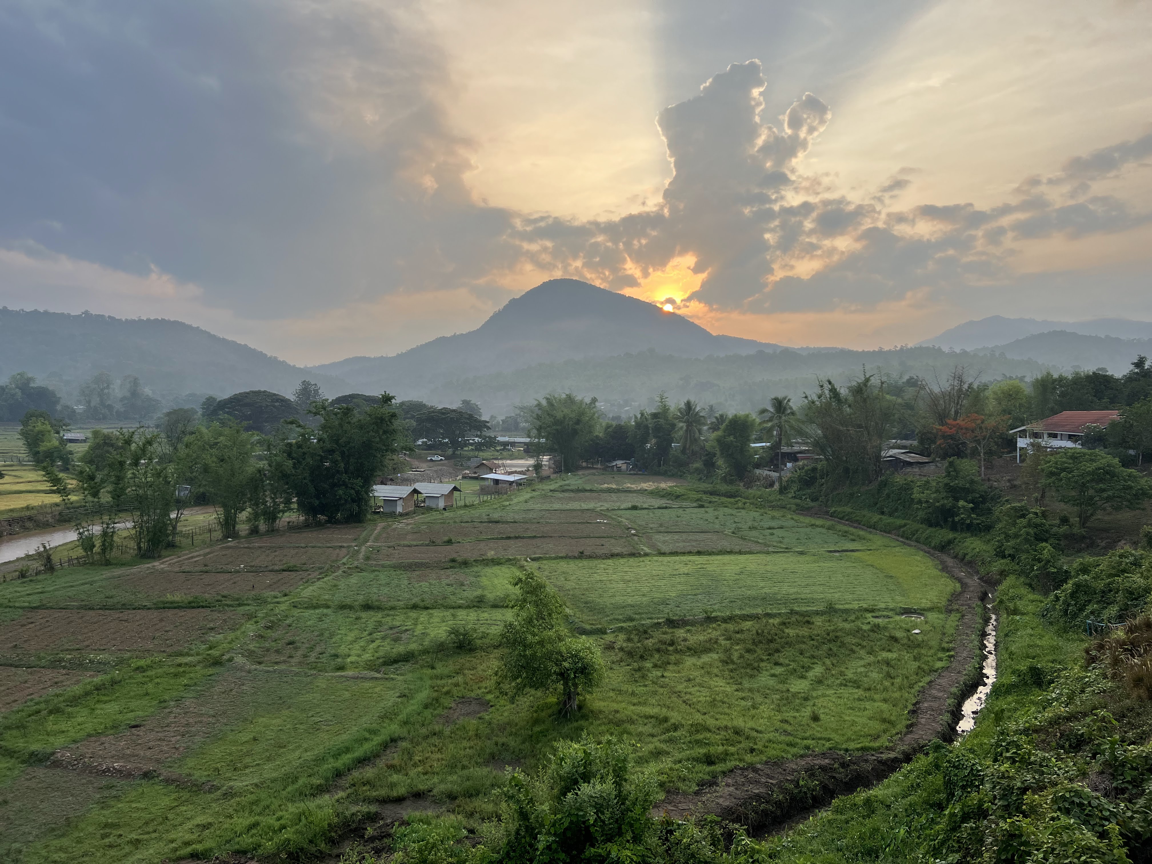 rice fields in Thailand Asia