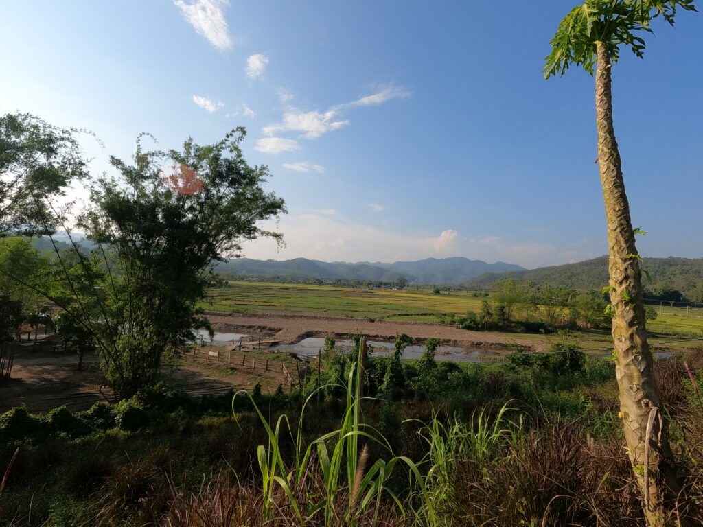 permaculture plot in thailand